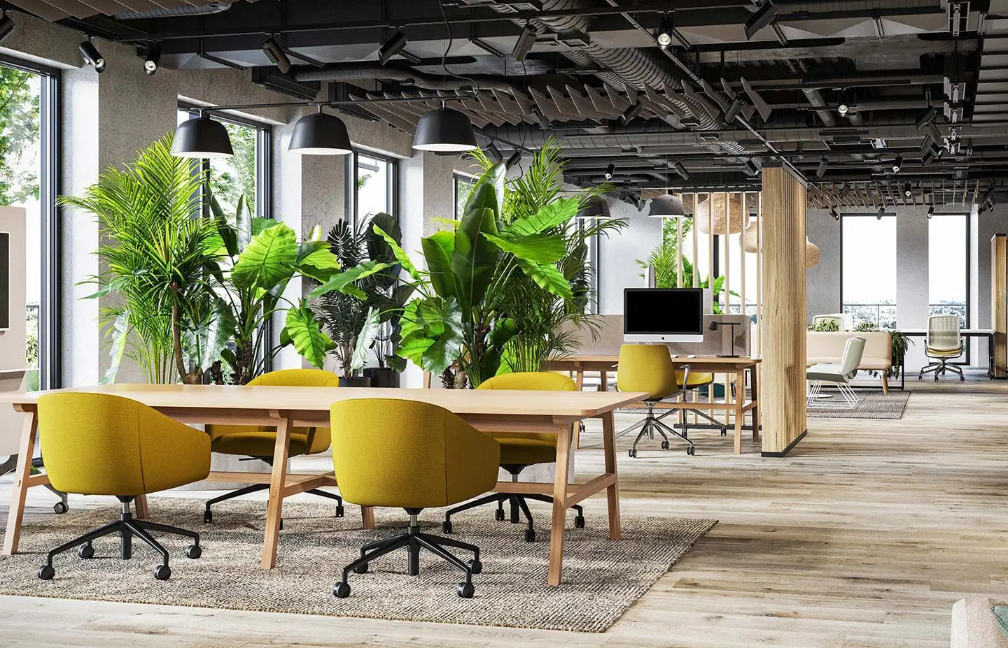 Office Drop Ceilings - Boss Agent