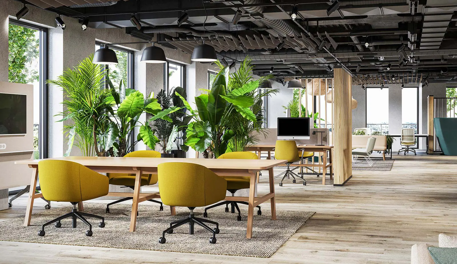 Office Drop Ceilings - Boss Agent Office Drop Ceilings - Boss Agent