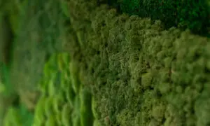 office refurbishment mitsubishi europe2