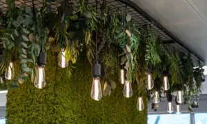 office refurbishment mitsubishi europe3