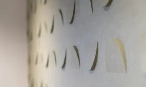 office refurbishment mitsubishi europe8