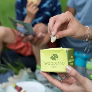 Supporting the Woodland Trust