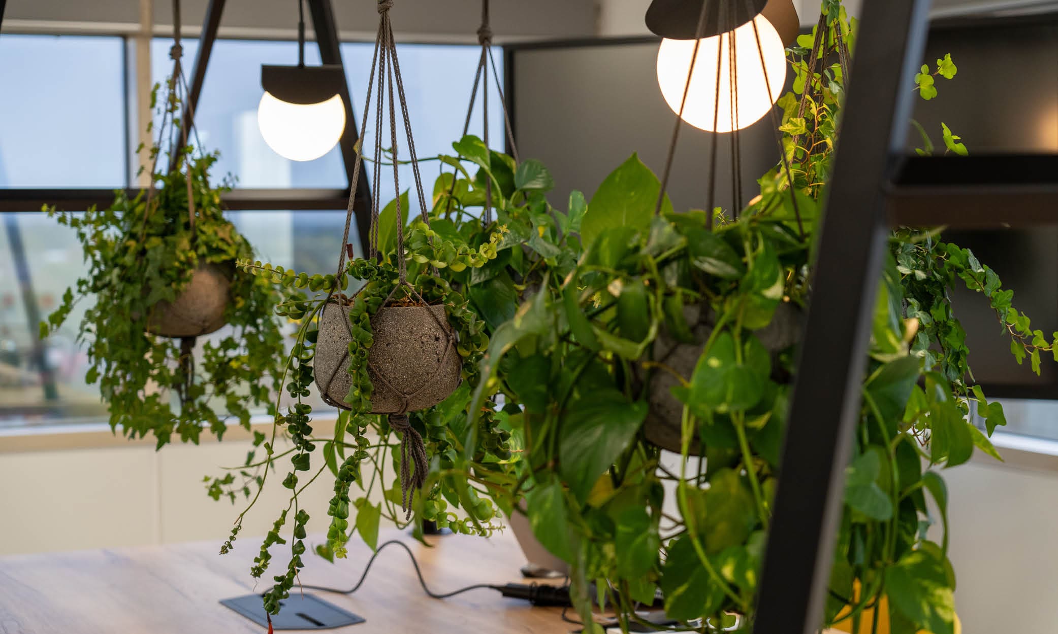 Sustainable office design - Interior Options